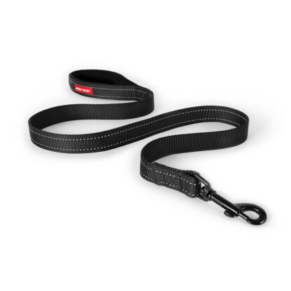 Essential Leash