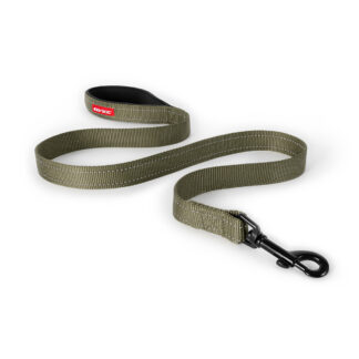 Essential Leash