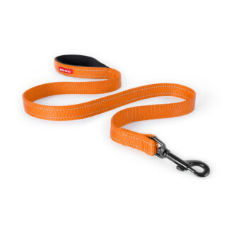 Essential Leash