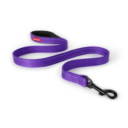 Essential Leash