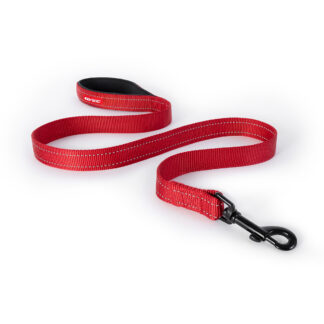 Essential Leash