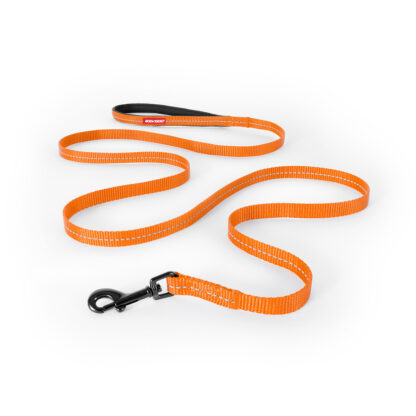 Essential LITE Leash