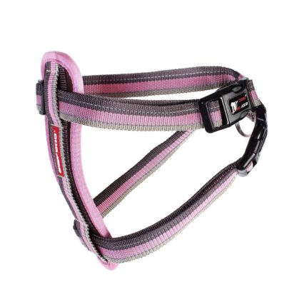 Chest Plate Harnas - Borsttuig hond