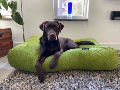 Dog's Companion® Hondenbed appelgroen ribcord superlarge