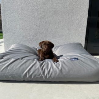 Dog's Companion® Hondenbed lichtgrijs vuilafstotende coating Superlarge