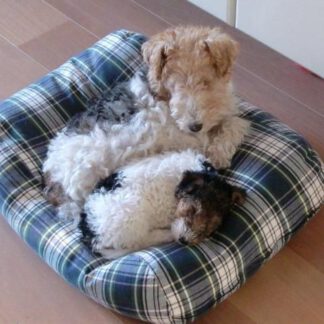 Dog's Companion® Hondenbed dress gordon extra small