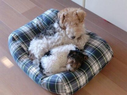 Dog's Companion® Hondenbed dress gordon extra small