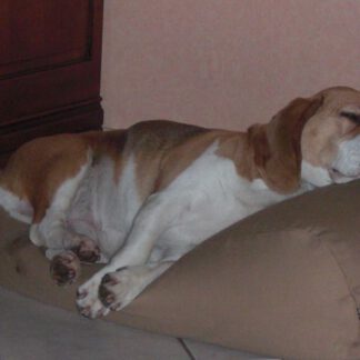 Dog's Companion® Hondenbed camel extra small