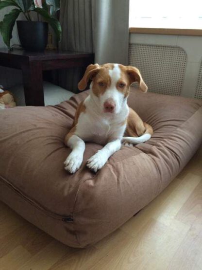 Dog's Companion® Hondenbed manchester ribcord extra small