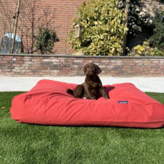 Dog's Companion® Hondenbed steenrood