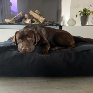 Dog's Companion® Hondenbed Dark Steel Bouclé