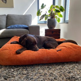 Dog's Companion® Hondenbed Oranje giant ribcord superlarge