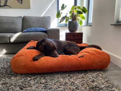 Dog's Companion® Hondenbed Oranje giant ribcord superlarge