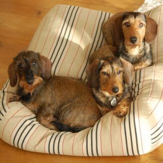 Dog's Companion® Hondenbed country field streep large