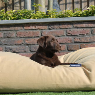 Dog's Companion® Hondenbed Sahara Small