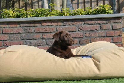 Dog's Companion® Hondenbed Sahara Small