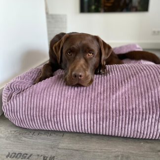 Dog's Companion® Hondenbed Lavendel giant ribcord
