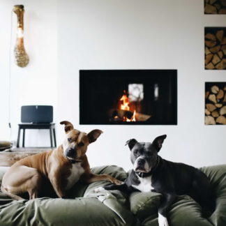 Dog's Companion® Hondenbed Mosgroen velours Superlarge
