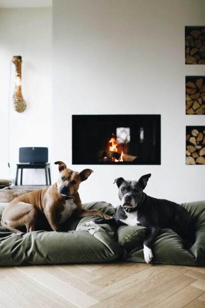 Dog's Companion® Hondenbed Mosgroen velours Superlarge