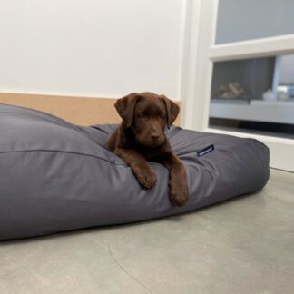 Dog's Companion® Hondenbed charcoal vuilafstotende coating superlarge