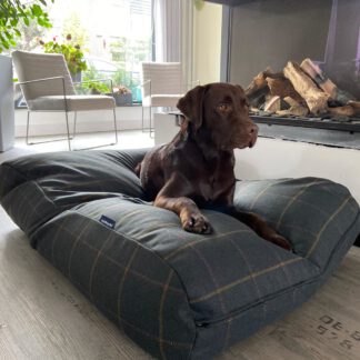 Dog's Companion® Hondenbed Scottish Tweed Green Small