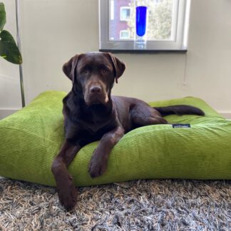 Dog's Companion® Hondenbed appelgroen ribcord medium