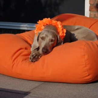 Dog's Companion® Hondenkussen oranje