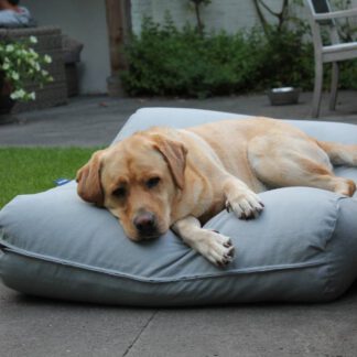 Dog's Companion® Hondenkussen lichtgrijs extra small