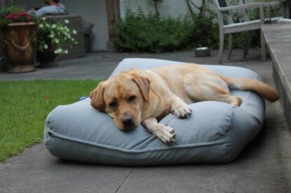 Dog's Companion® Hondenkussen lichtgrijs extra small