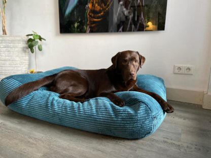 Dog's Companion® Hondenbed Petrol giant ribcord