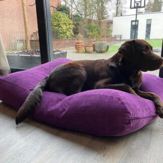Dog's Companion® Hondenbed paars ribcord