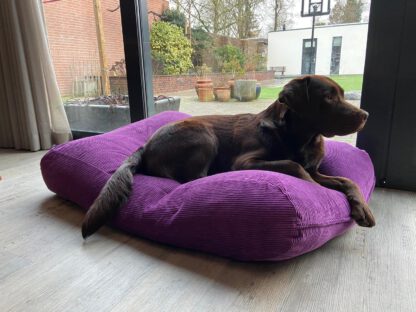 Dog's Companion® Hondenbed paars ribcord