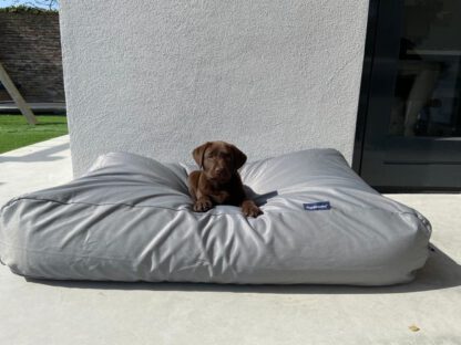 Dog's Companion® Hondenbed lichtgrijs vuilafstotende coating Medium