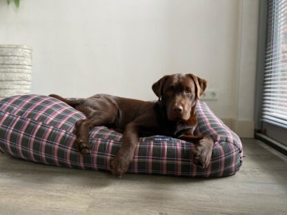Dog's Companion® Hondenbed MacIntyre Superlarge