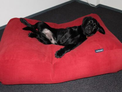 Dog's Companion® Hondenbed extra small steenrood ribcord