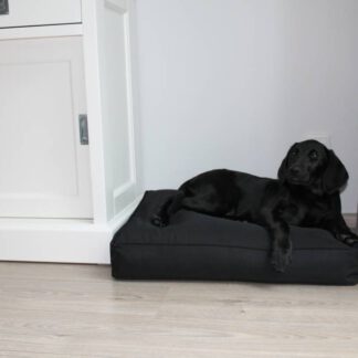 Dog's Companion® Zwart benchkussen 65 x 50 x 10 cm