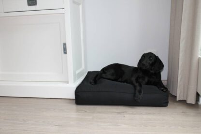 Dog's Companion® Zwart benchkussen 65 x 50 x 10 cm