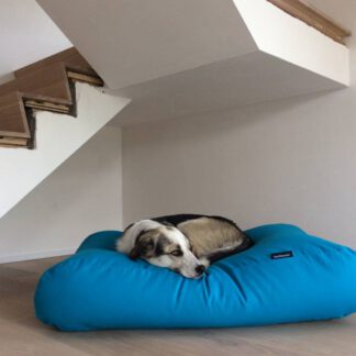 Dog's Companion® Hondenbed aqua blauw small