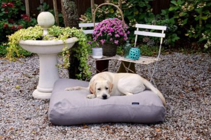 Dog's Companion® Hondenbed grijs meubelstof Small
