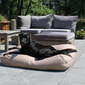 Dog's Companion® Hondenbed walnut (meubelstof) small