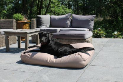 Dog's Companion® Hondenbed walnut (meubelstof) small