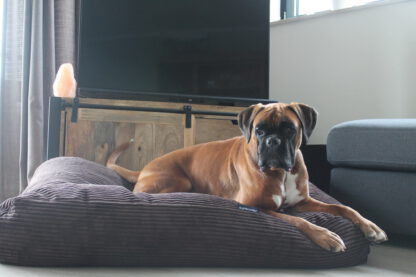Dog's Companion® Hondenbed Espresso giant ribcord