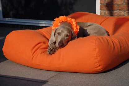 Dog's Companion® Hondenbed oranje superlarge