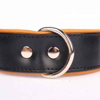 Leren hondenhalsband