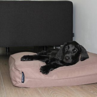 Dog's Companion® Benchkussen 68 x 62 x 10 cm taupe