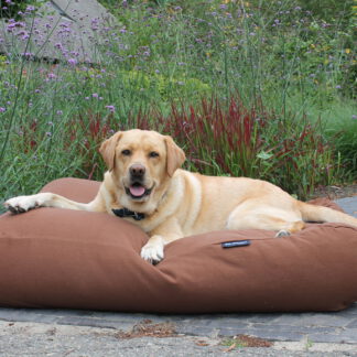 Dog's Companion® Hondenbed Mokka Extra Small
