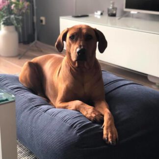 Dog's Companion® Hondenbed blauw ribcord small