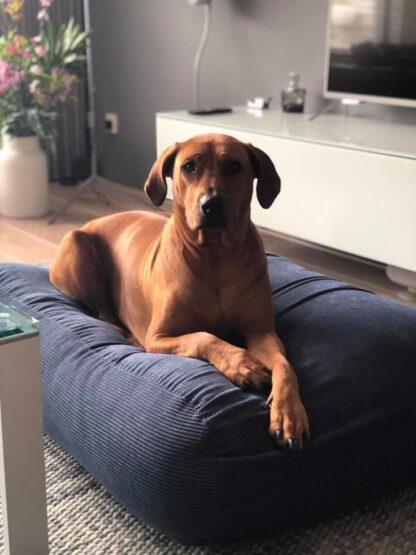 Dog's Companion® Hondenbed blauw ribcord small