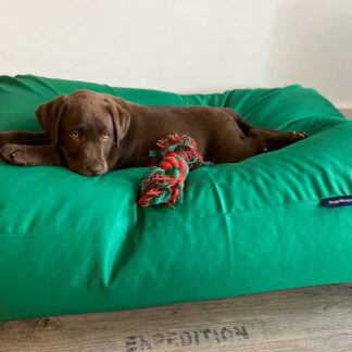 Dog's Companion® Hondenbed lentegroen vuilafstotende coating small