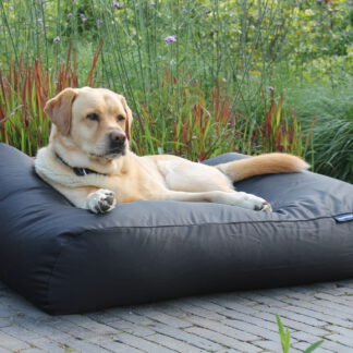 Dog's Companion® Hondenbed zwart vuilafstotende coating medium